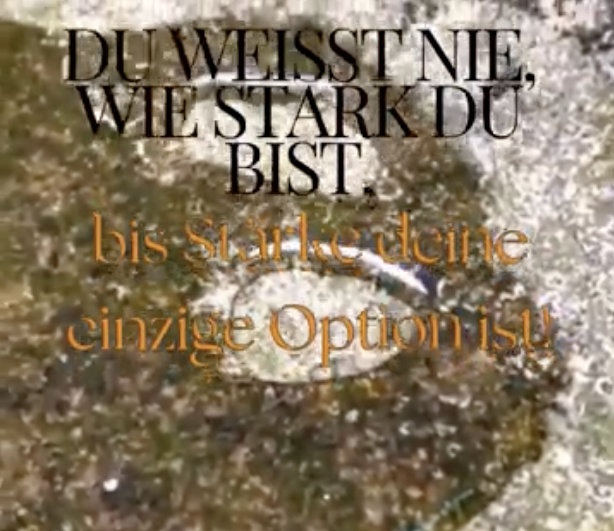 Inspirierendes Zitat: Du weißt nie, wie stark du bist, bis Stärke deine einzige Option ist