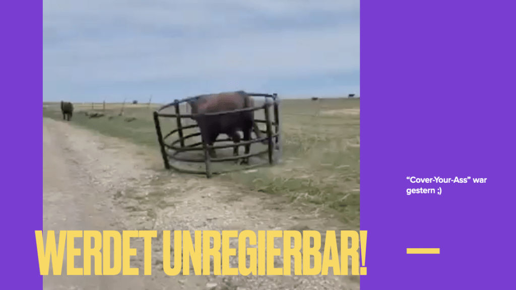 Ein Rind steht in einem Fanggatter auf einem Feldweg, darüber der Ausruf Werdet unregierbar